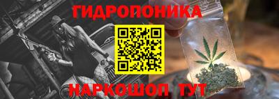 jwh Шелехов