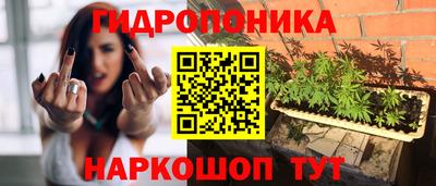 jwh Шелехов