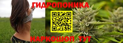 шишки Шахты
